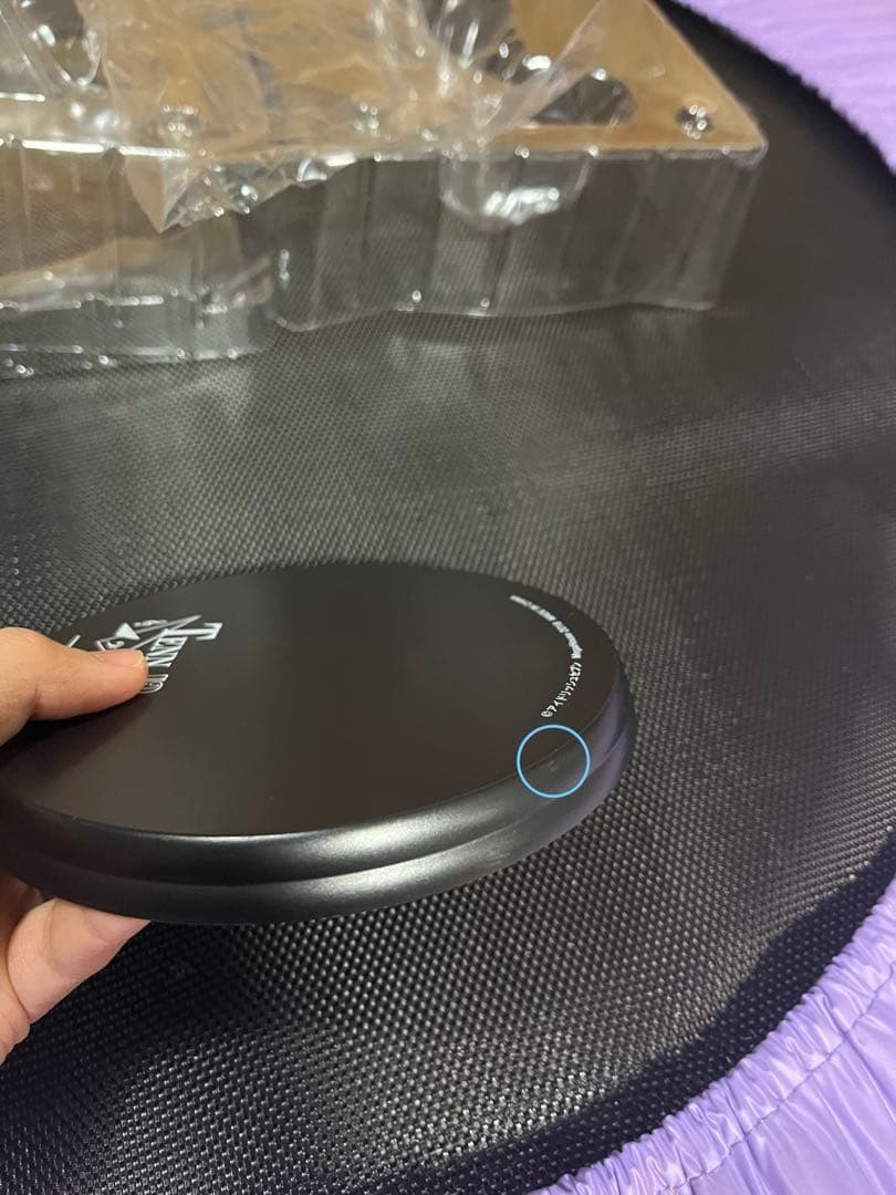 【開封済み】パルメイト　えくすとら　九条天 フィギュア TRIGGER