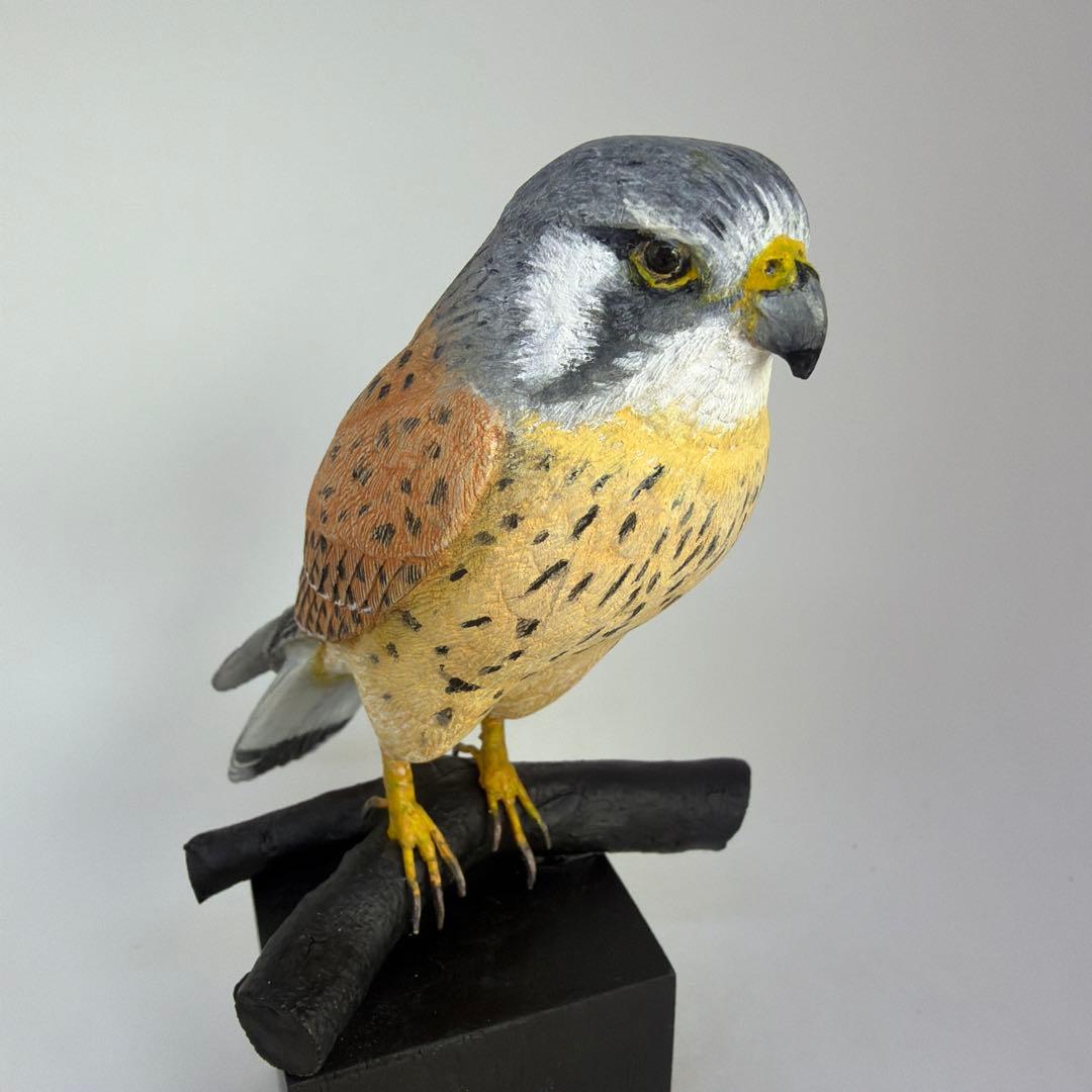 チョウゲンボウ　　木彫りの野鳥　　　野鳥彫刻　リアルバードカービング