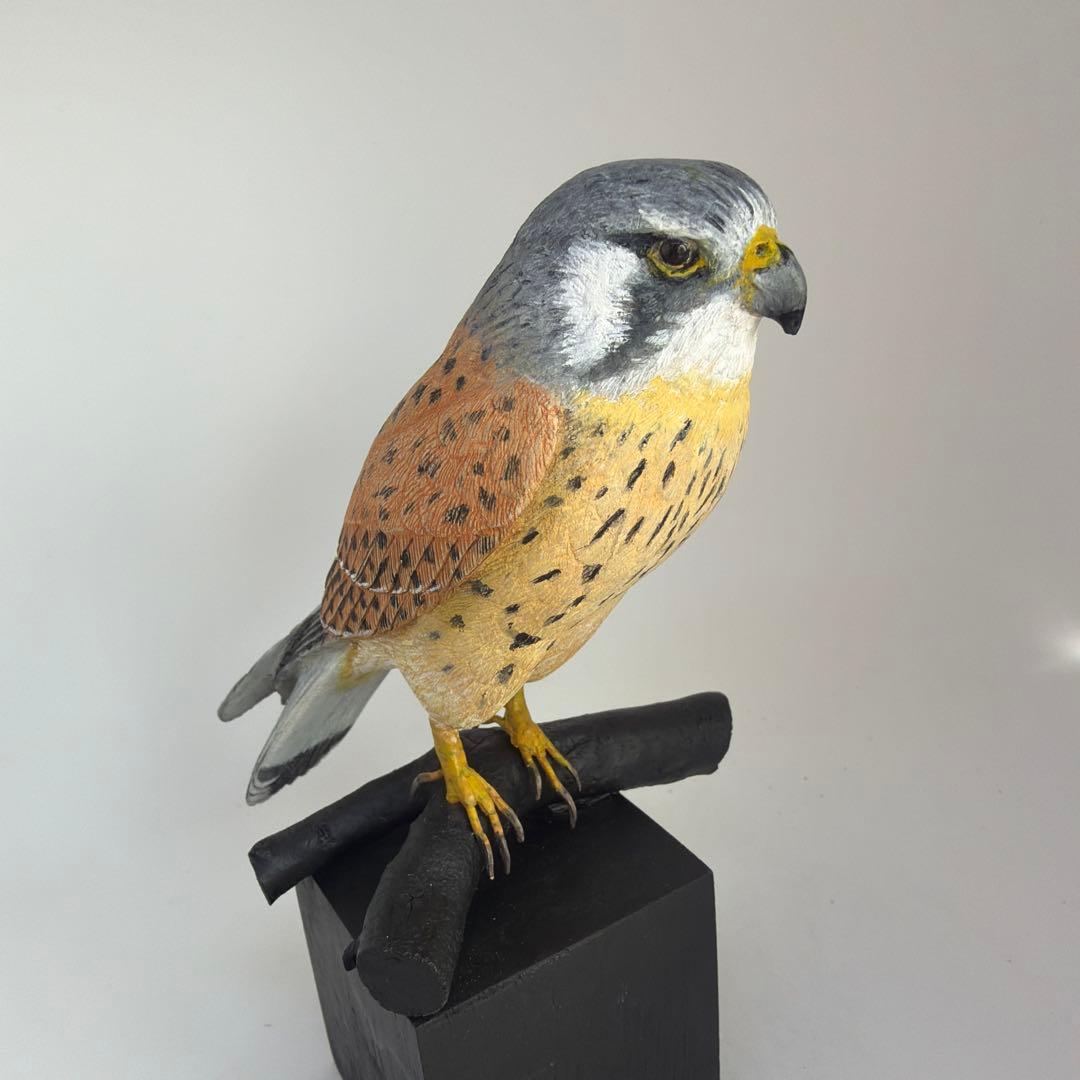 チョウゲンボウ　　木彫りの野鳥　　　野鳥彫刻　リアルバードカービング