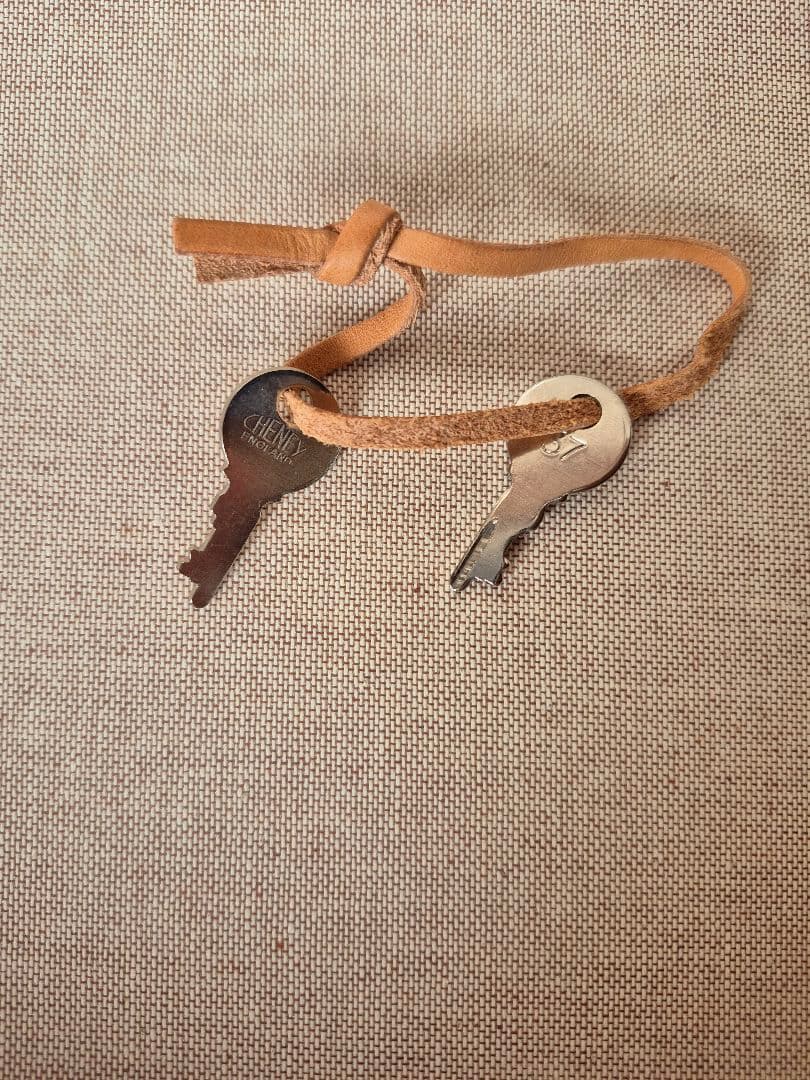 グローブトロッター「サファリ」エアキャビン