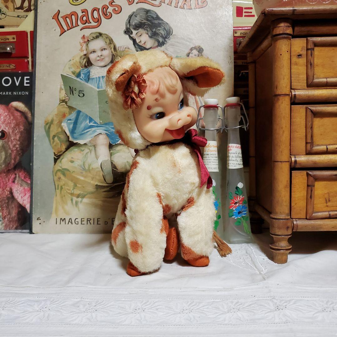 ラシュトン　Rushton　牛