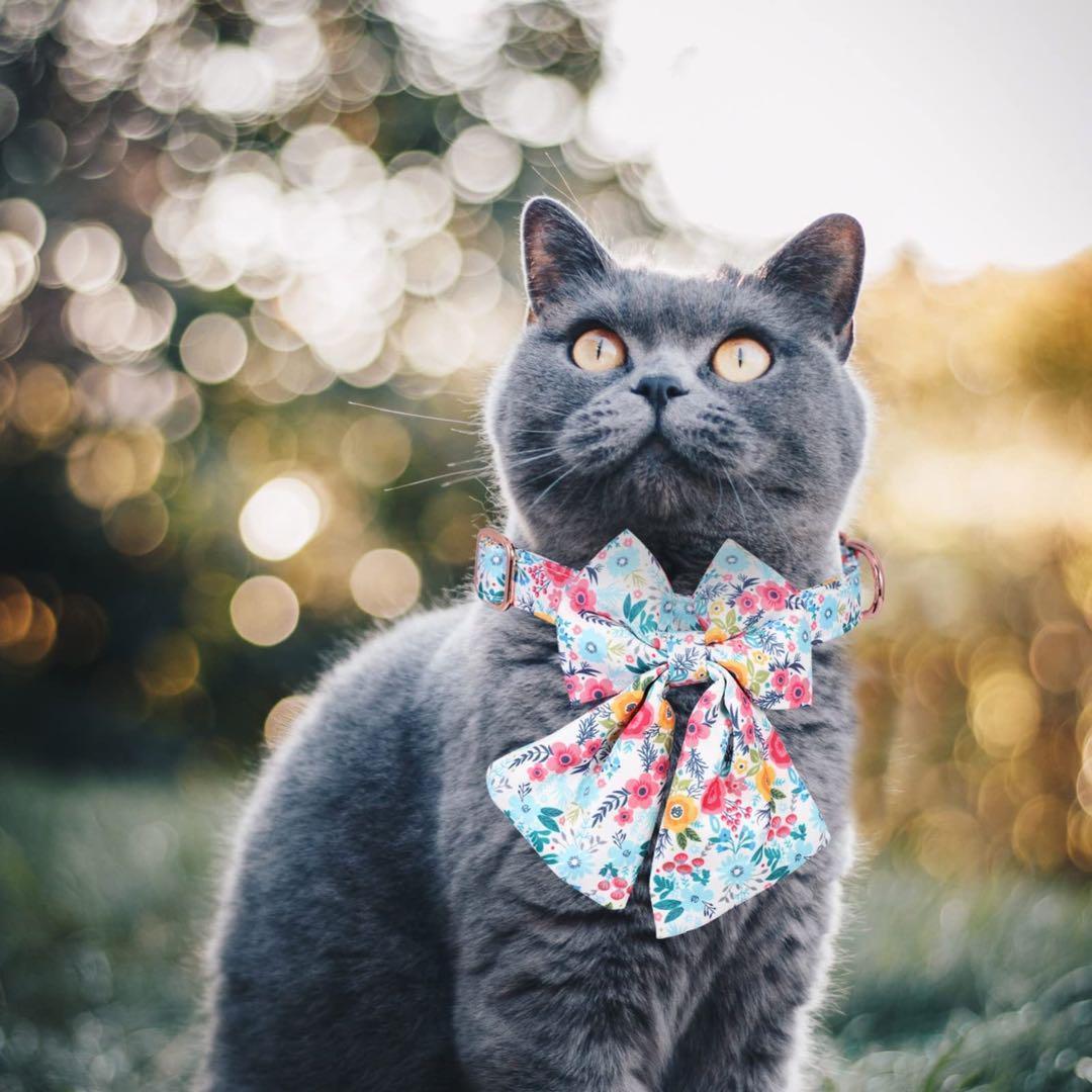 ☘️ ペット用首輪 リボン Lサイズ 長さ調節可能 花柄