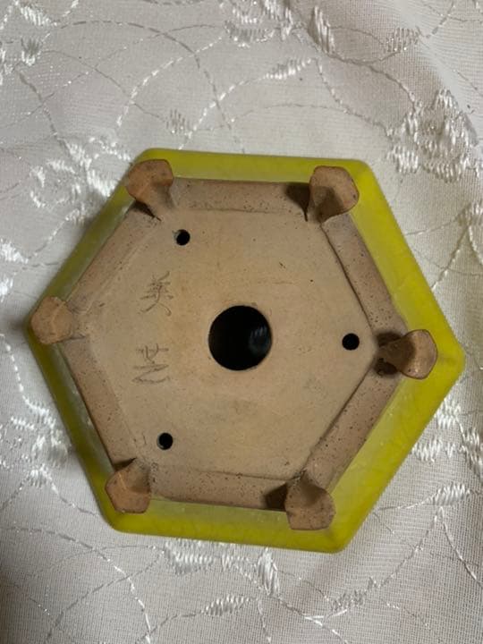 美芸　盆栽鉢　六角