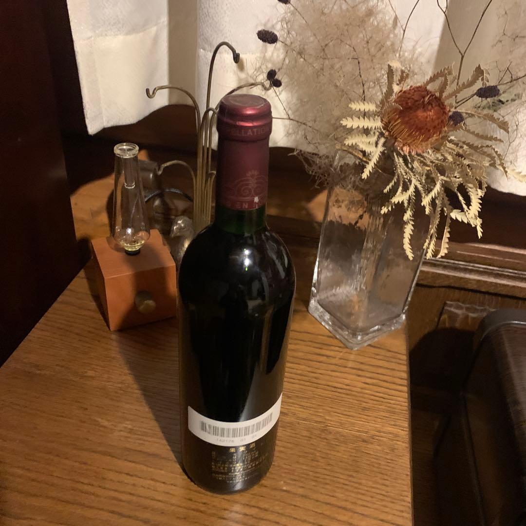 シャトー セゴンヌ1999