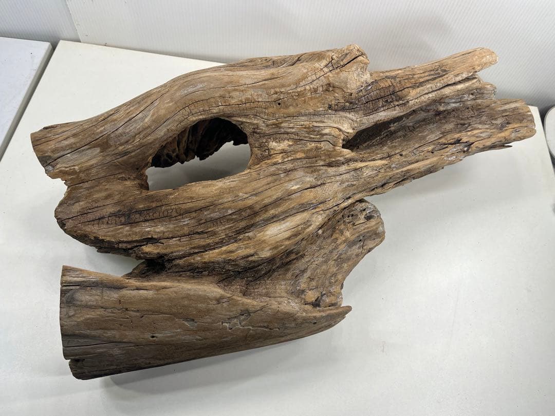 W28特大流木アク抜き済み流木 爬虫類シェルター 登り木 インテリア 生け花