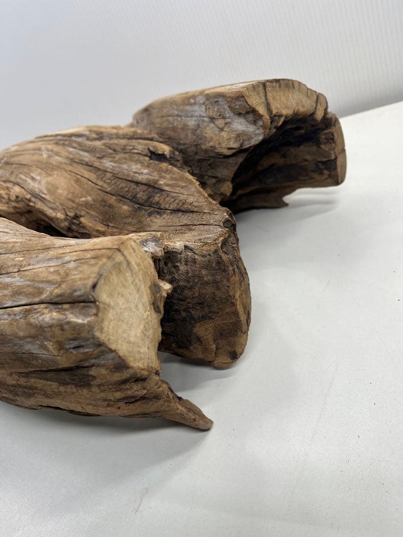 W28特大流木アク抜き済み流木 爬虫類シェルター 登り木 インテリア 生け花