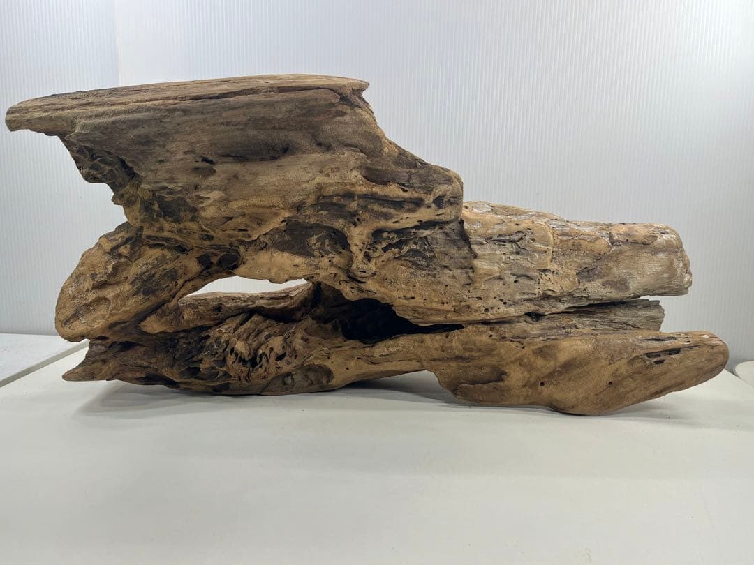 W28特大流木アク抜き済み流木 爬虫類シェルター 登り木 インテリア 生け花