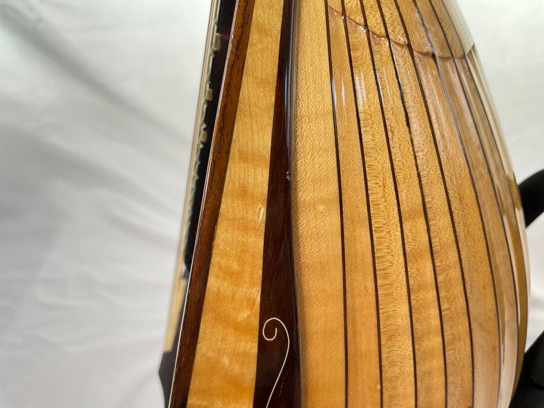 sound ena サウンドエナ M-200 最上位機種マンドリン