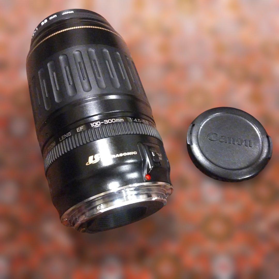 Canon 100-300mm ウルトラソニック ズームレンズ