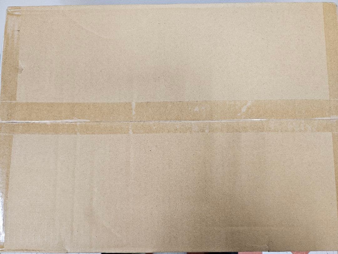 ホロライブカードゲーム第5弾　エンチャントレガリア　マスターカートン