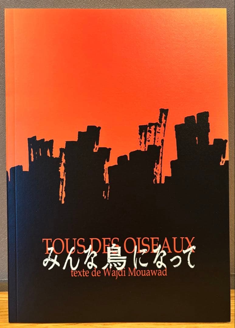 みんな鳥になって パンフレット