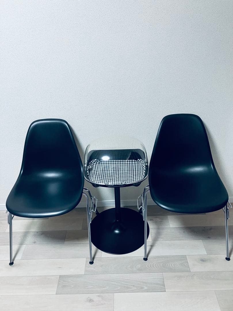 スペースエイジ　バブルドームケース　レトロ