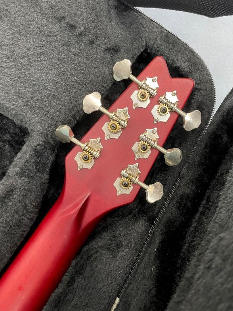 Washburn Travel Series Rover RO10 ケース付き