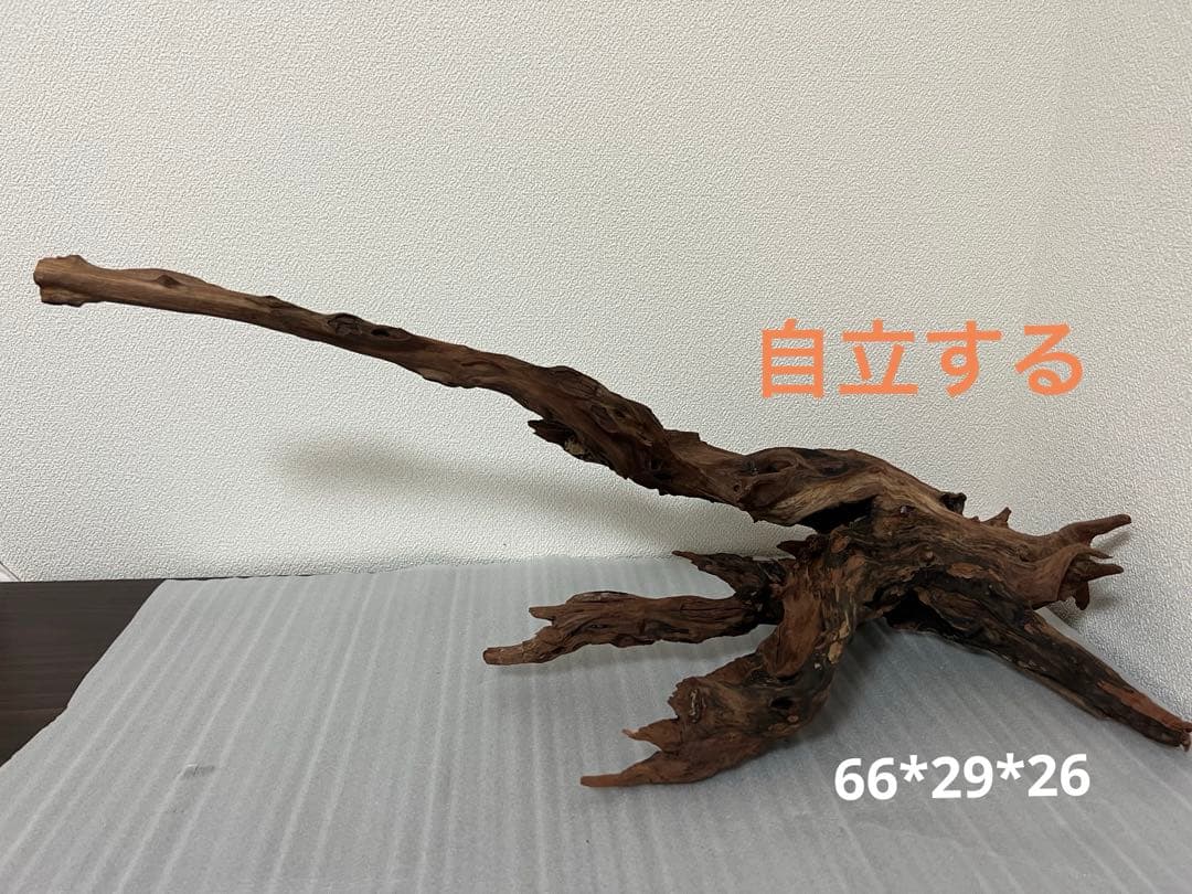 HX-080 流木　ホーンウッド　マシンガンウッド　アクアリウム　ブランチウッド