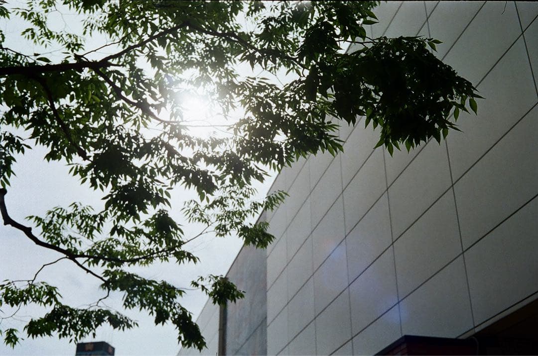 【動作品】Topcon 35-L 東京光学