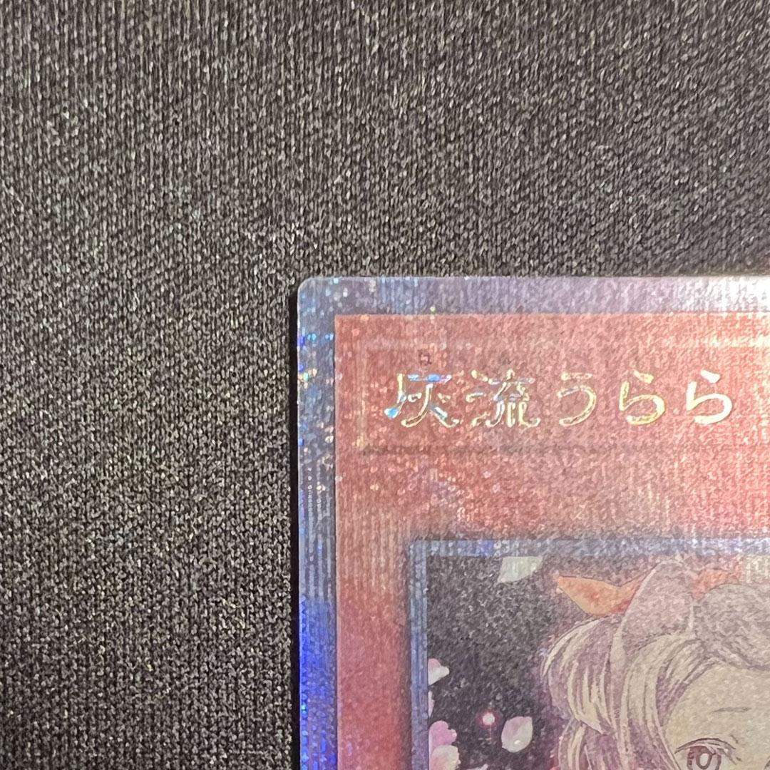 【極美品】遊戯王 灰流うらら 25th クォーターセンチュリーシークレット絵違い
