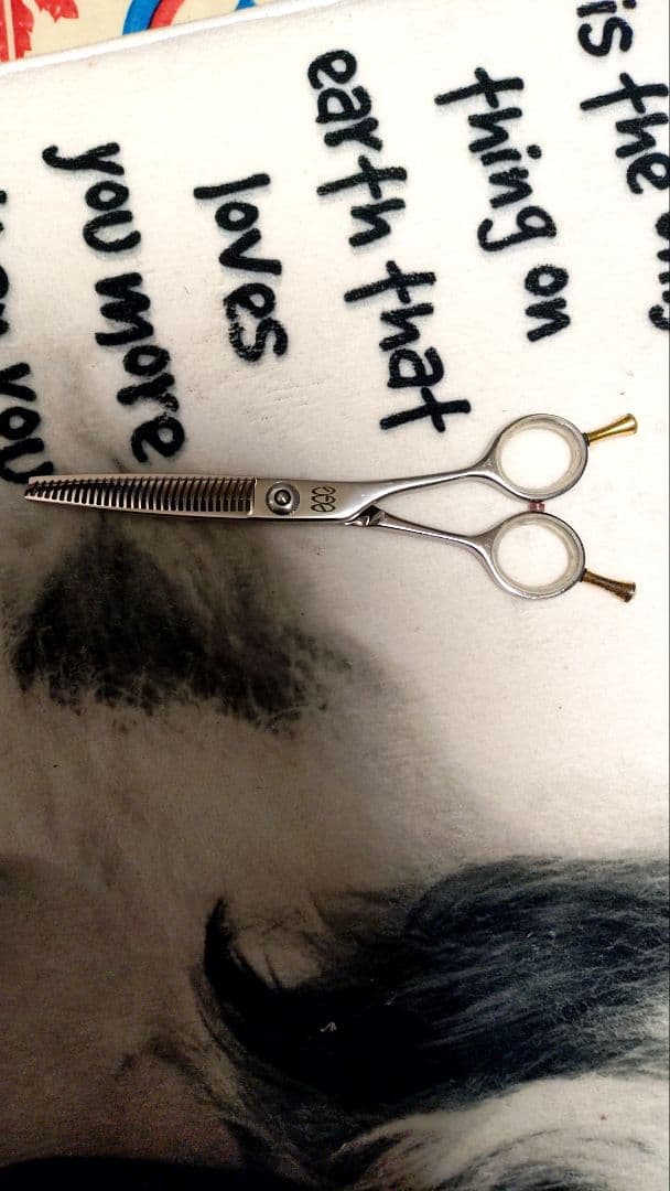 egg★トリミングシザー　セニングシザー　顔カットなどにも