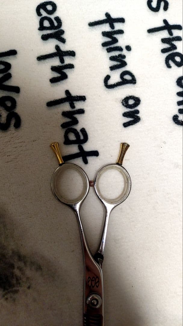 egg★トリミングシザー　セニングシザー　顔カットなどにも