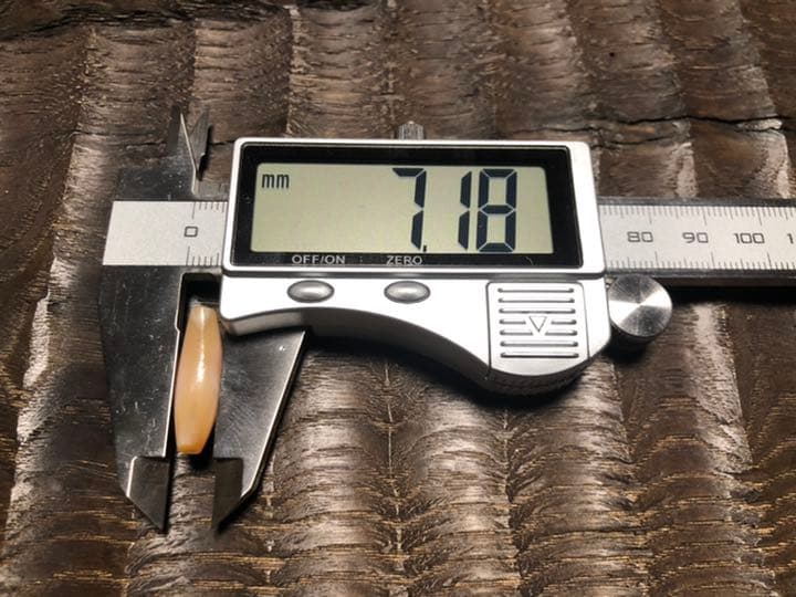 古代カーネリアン　アイビーズ　紀元前