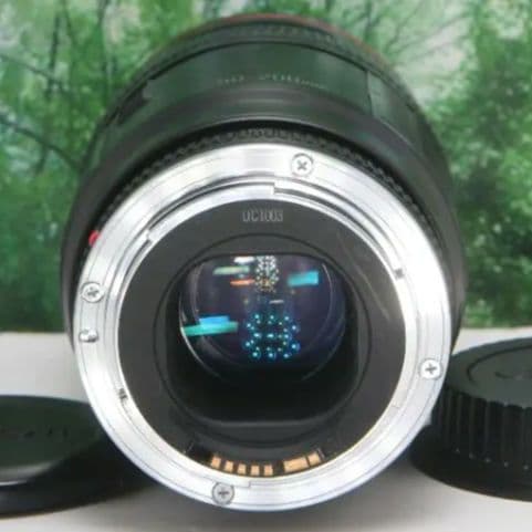 ☆コスパ抜群のLレンズ☆CANON EF 50-200mm F3.5-4.5L☆