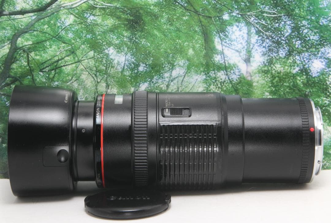 ☆コスパ抜群のLレンズ☆CANON EF 50-200mm F3.5-4.5L☆