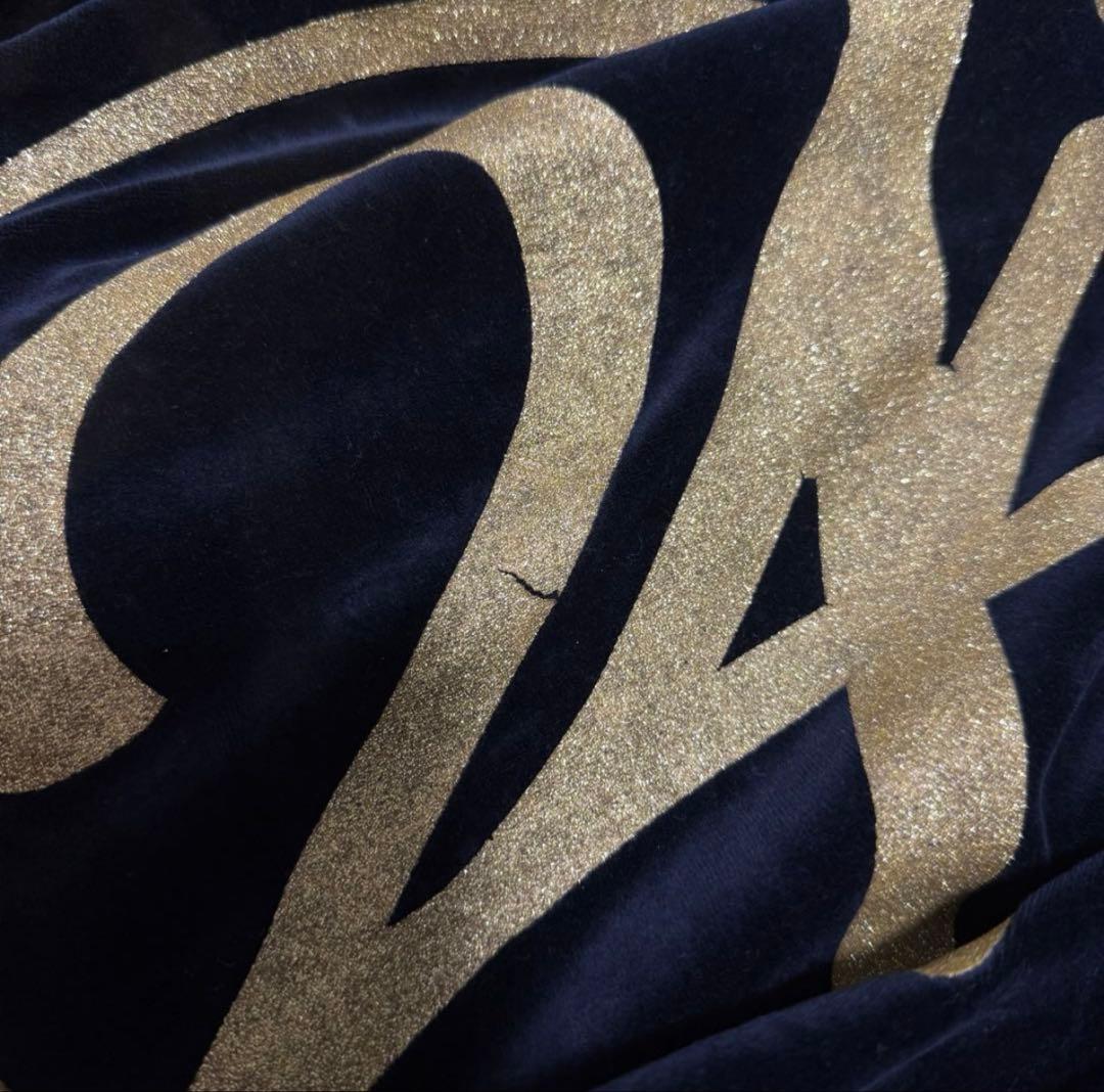 24karats ジャージ　セットアップ　ヒョウ柄　ベロア　EXILE Mサイズ