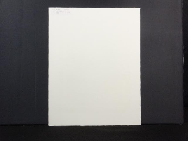 前田常作 直筆サイン『芹谷山 千光寺・観音の光』リトグラフ シート 0829P