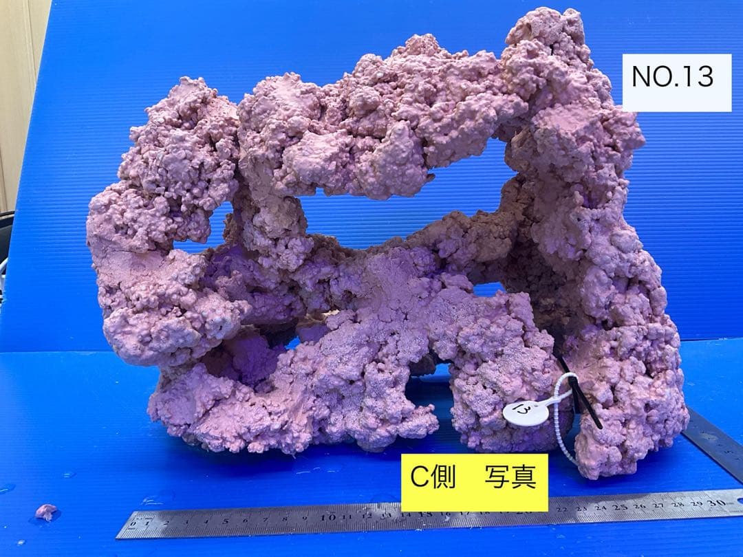 人工ライブロック　No.13 アク抜き済