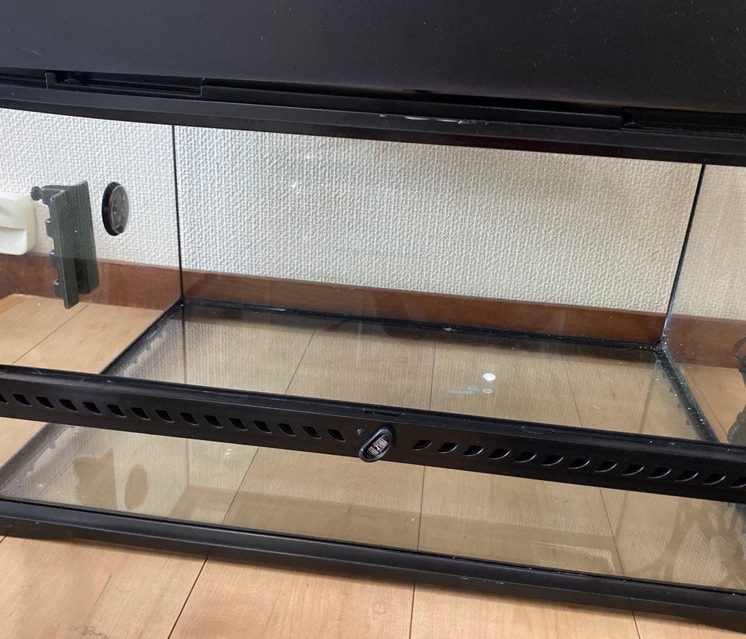 ★ペント様★ 飼育セット　飼育スターターキット