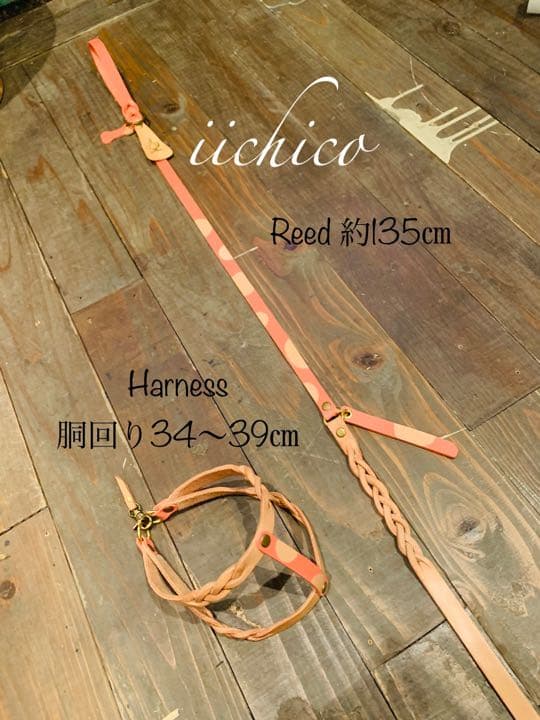 犬用リード＆ハーネスSET【本革】salmonping＆ヌメ革ツートン／ドット柄