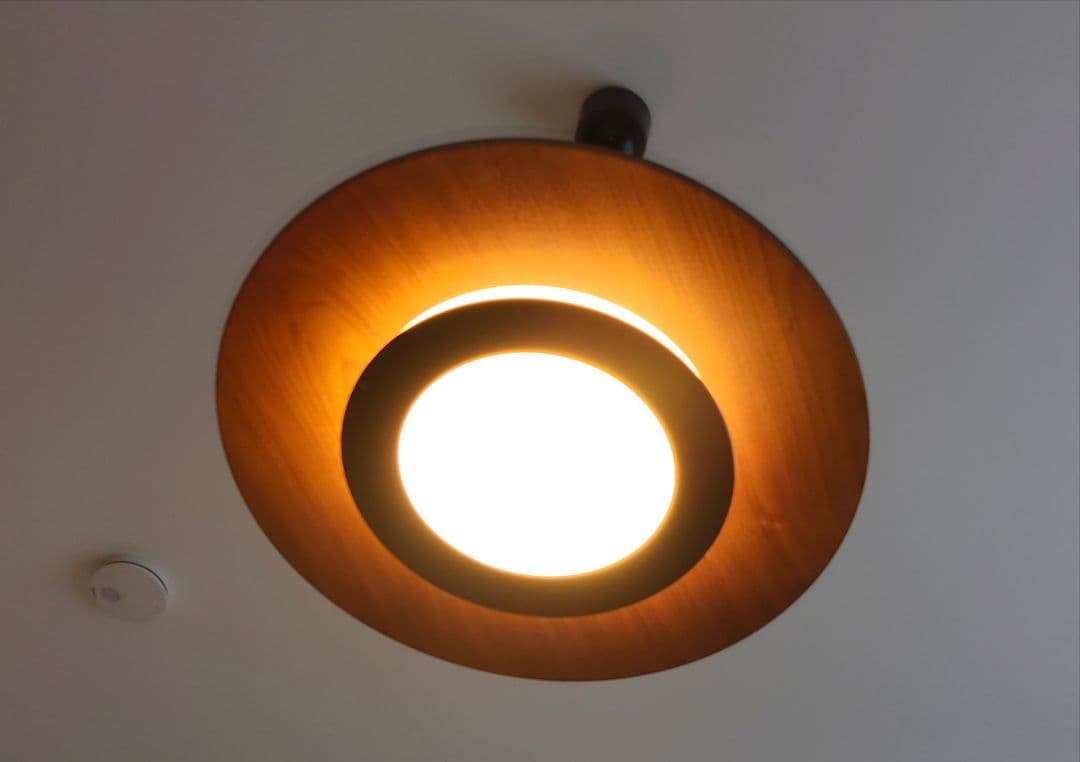 大光 LED ペンダントライト フラット モダン 天井照明 DXL-81102