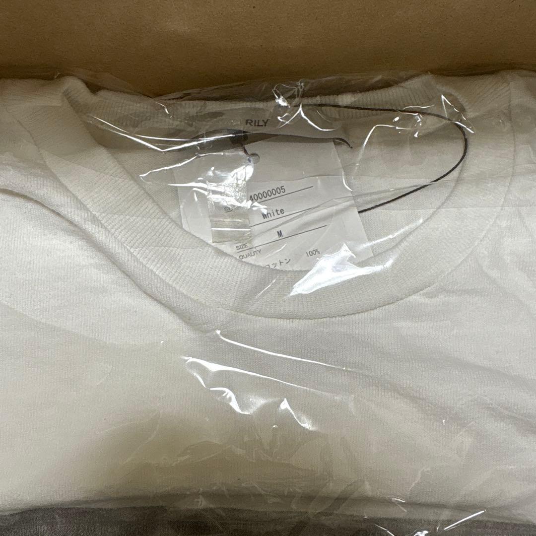 RILY NIRVANA Tee SS Mサイズ 今市隆二