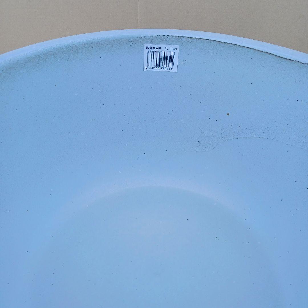新品　∅50　陶器　睡蓮鉢　特大　メダカ鉢　白　ホワイト　ルーバー　高級　LWH