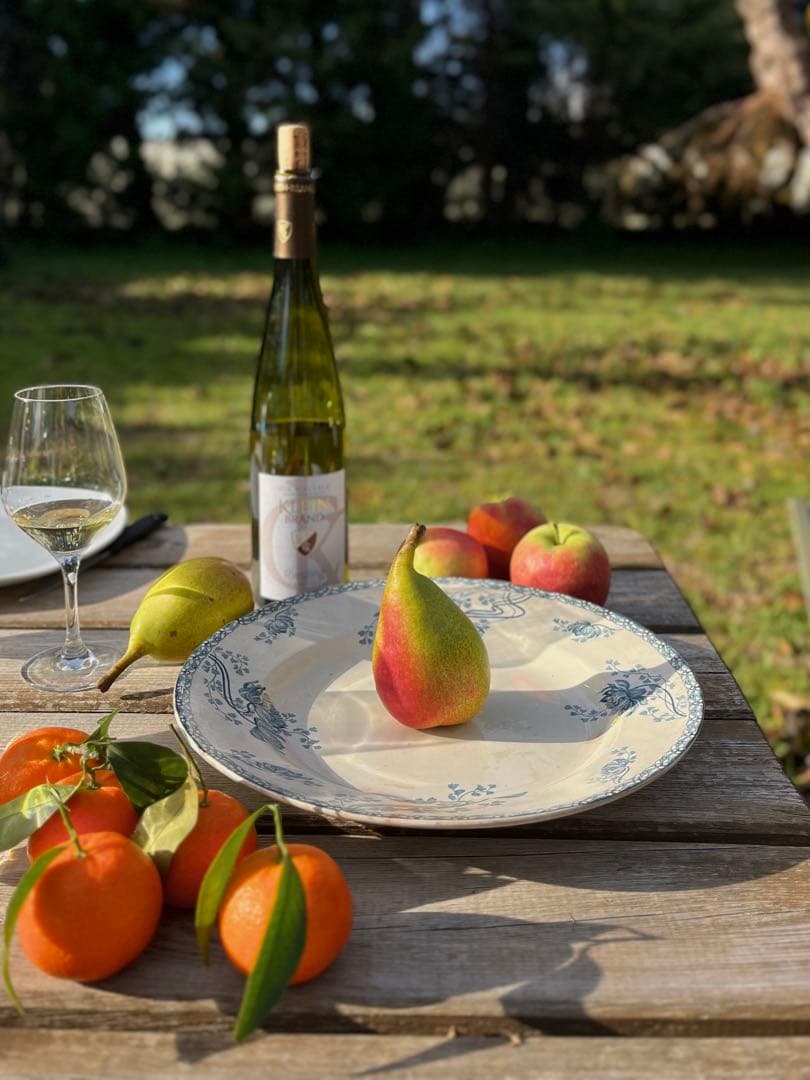 ◆フランスアンティーク｜サングミンヌ30cm大皿プレート花ボタニカル青緑陶器睡蓮