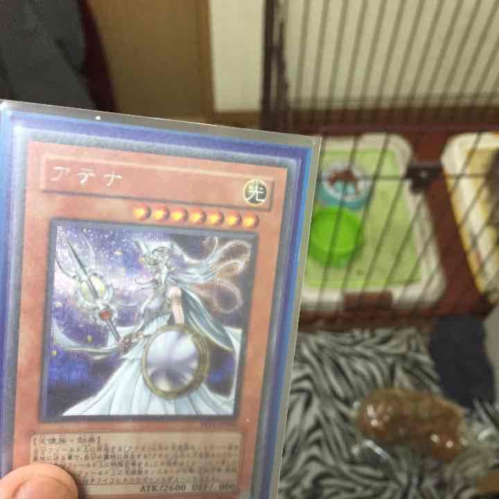 遊戯王カードバラ売り