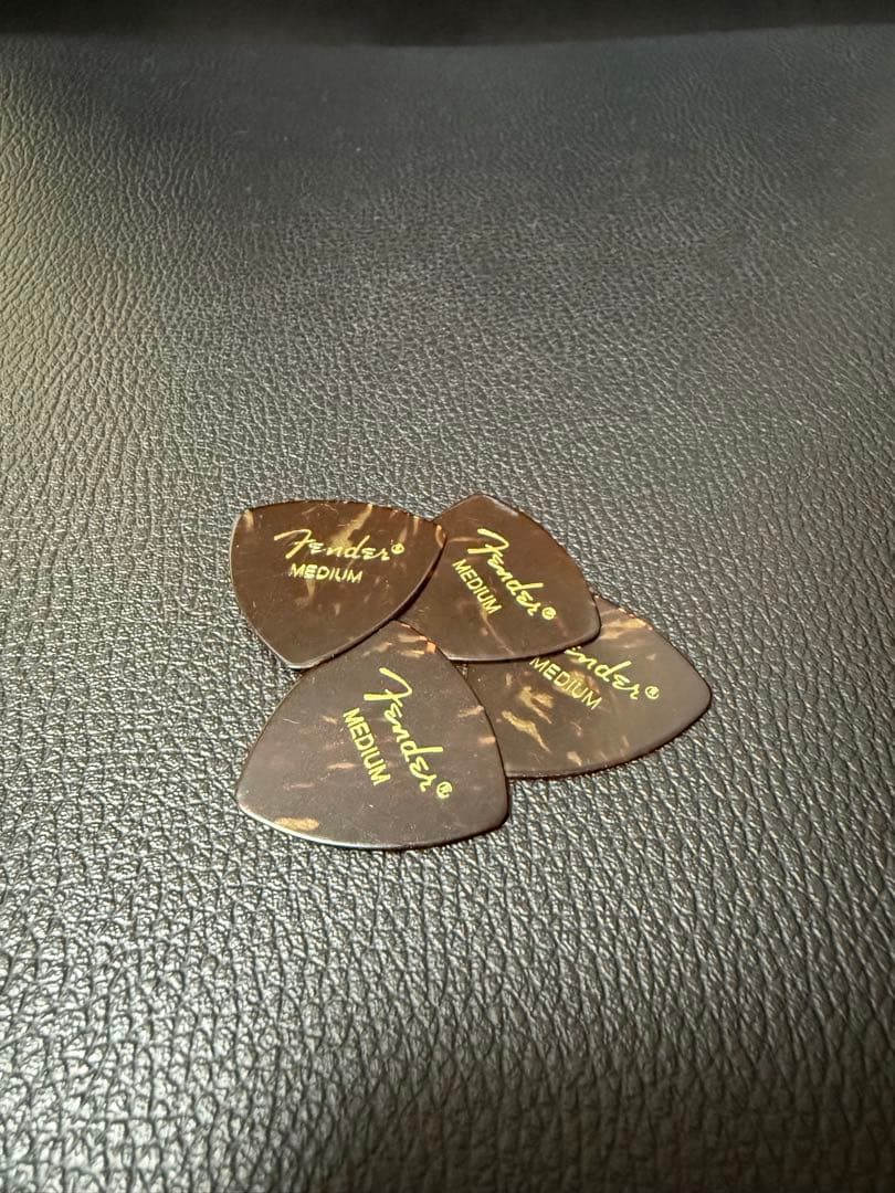 エレアコ アコギFender Newporter Player シャンパンカラー