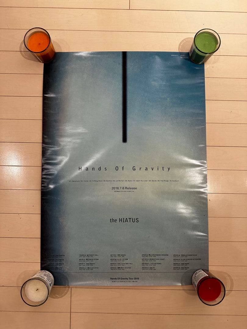 the HIATUS B2ポスター　5th ハイエイタス　細美武士