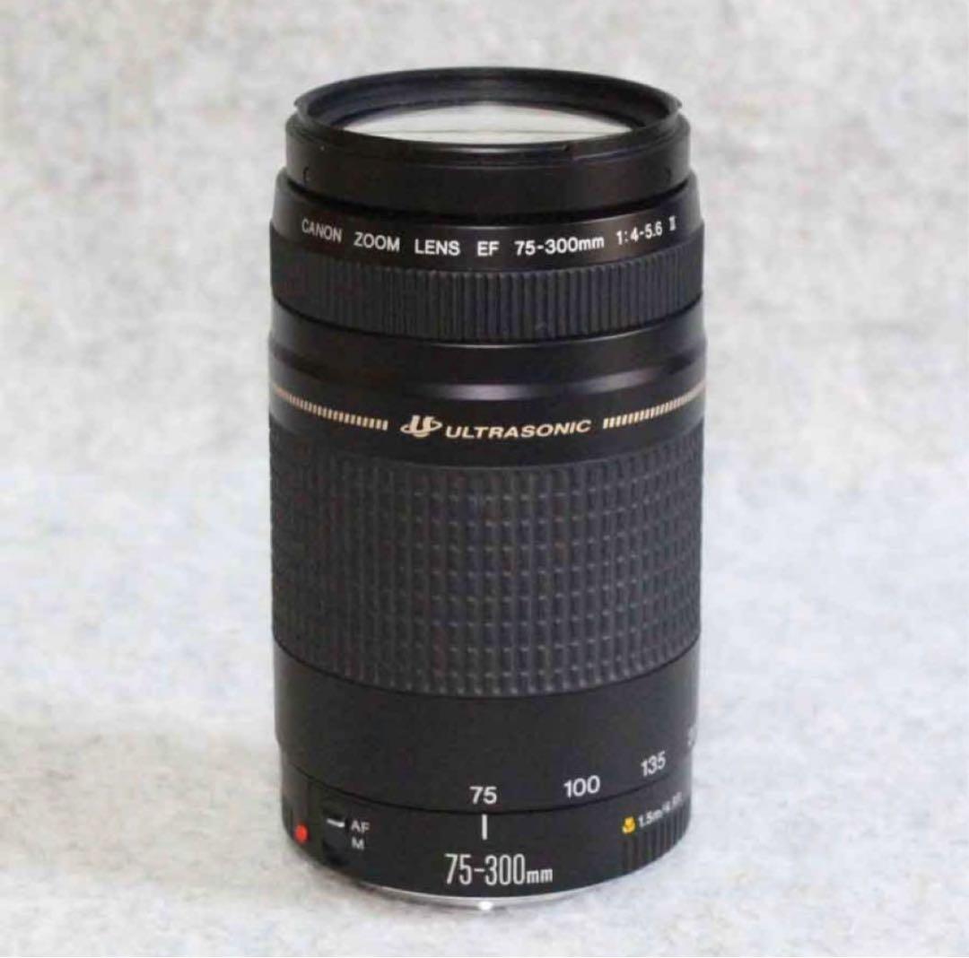 人気の望遠レンズ☆キヤノン Canon EF75-300㎜