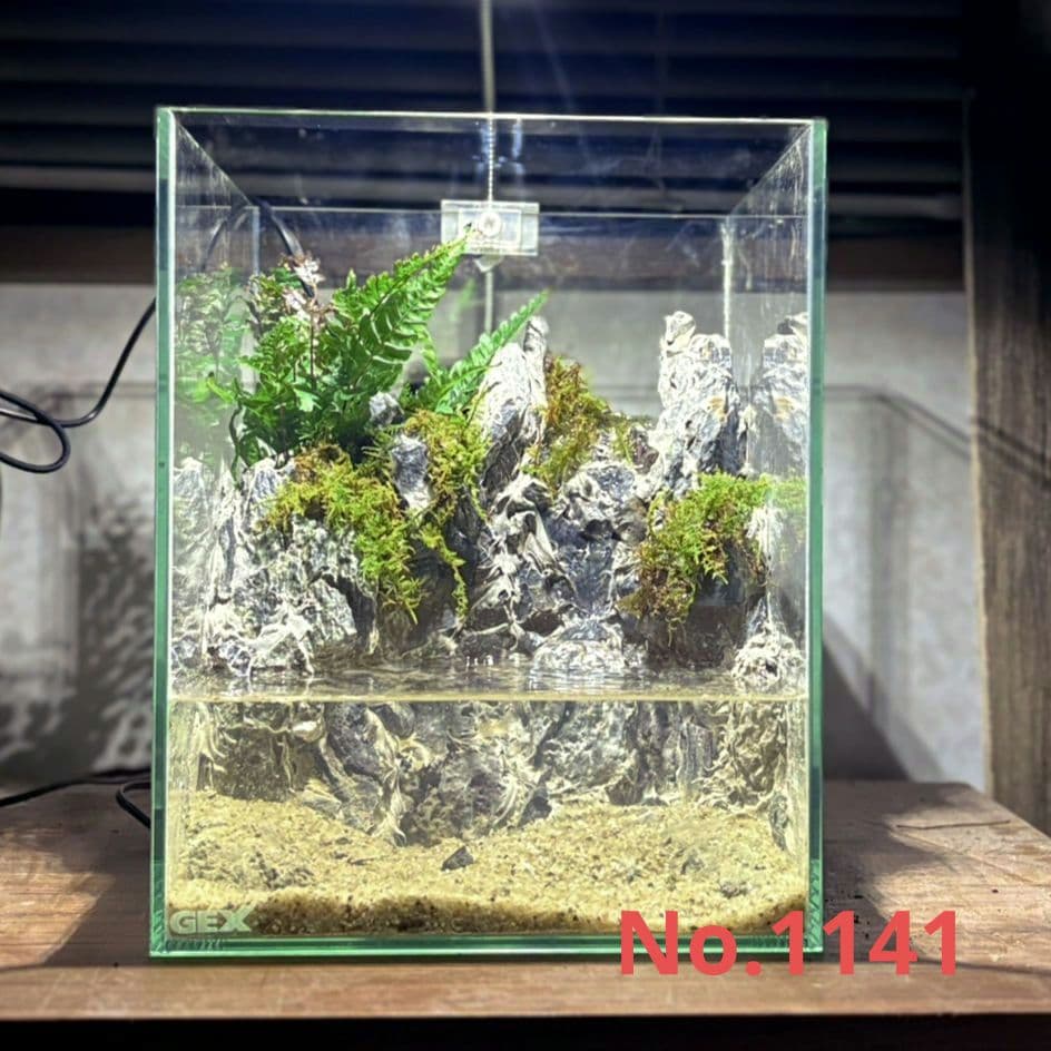 滝の流れるアクアテラリウム　No.1141