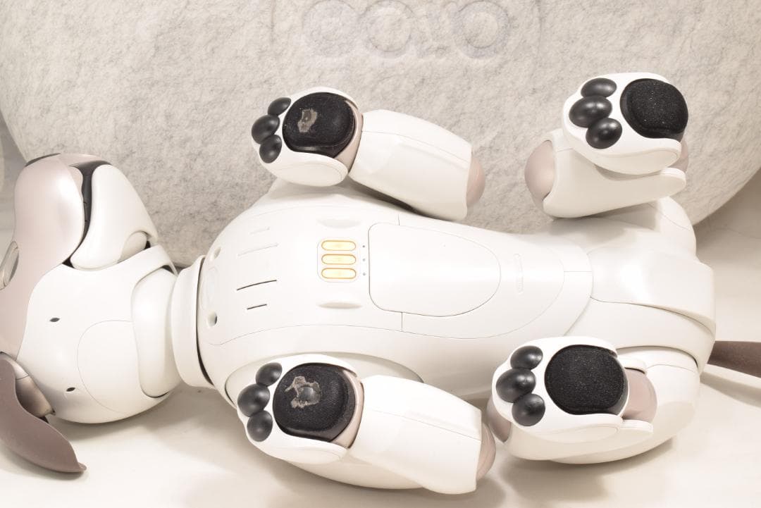 ドック診断 A判定 限定首輪3色 ソニー SONY アイボ ERS-1000