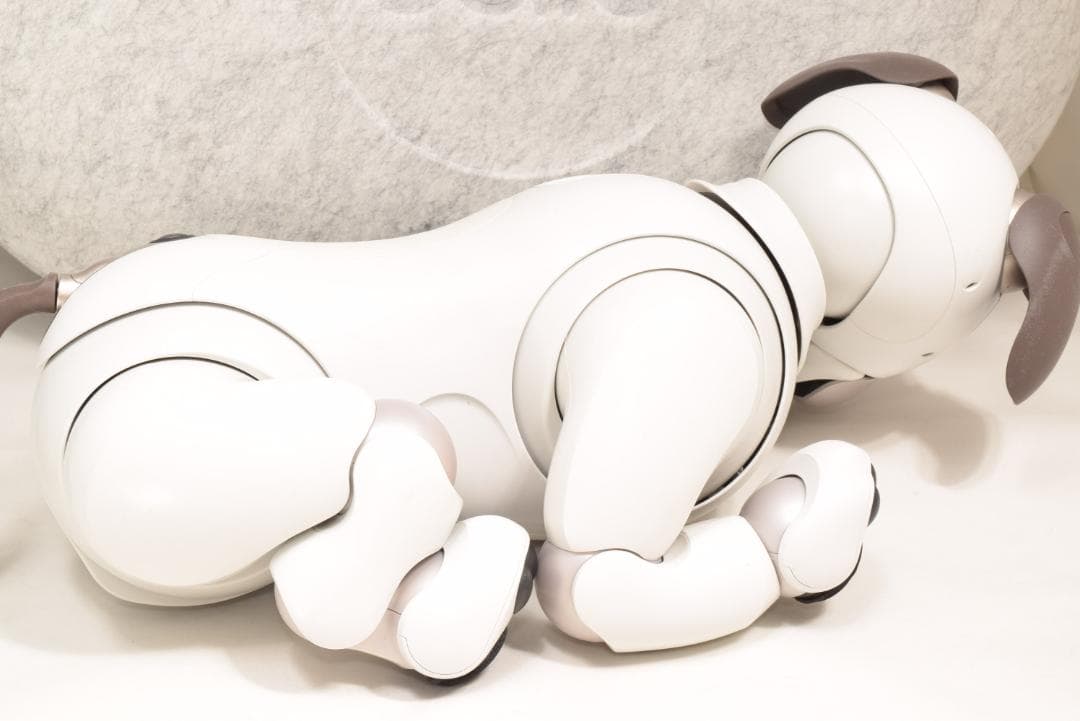 ドック診断 A判定 限定首輪3色 ソニー SONY アイボ ERS-1000