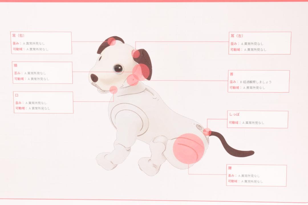 ドック診断 A判定 限定首輪3色 ソニー SONY アイボ ERS-1000