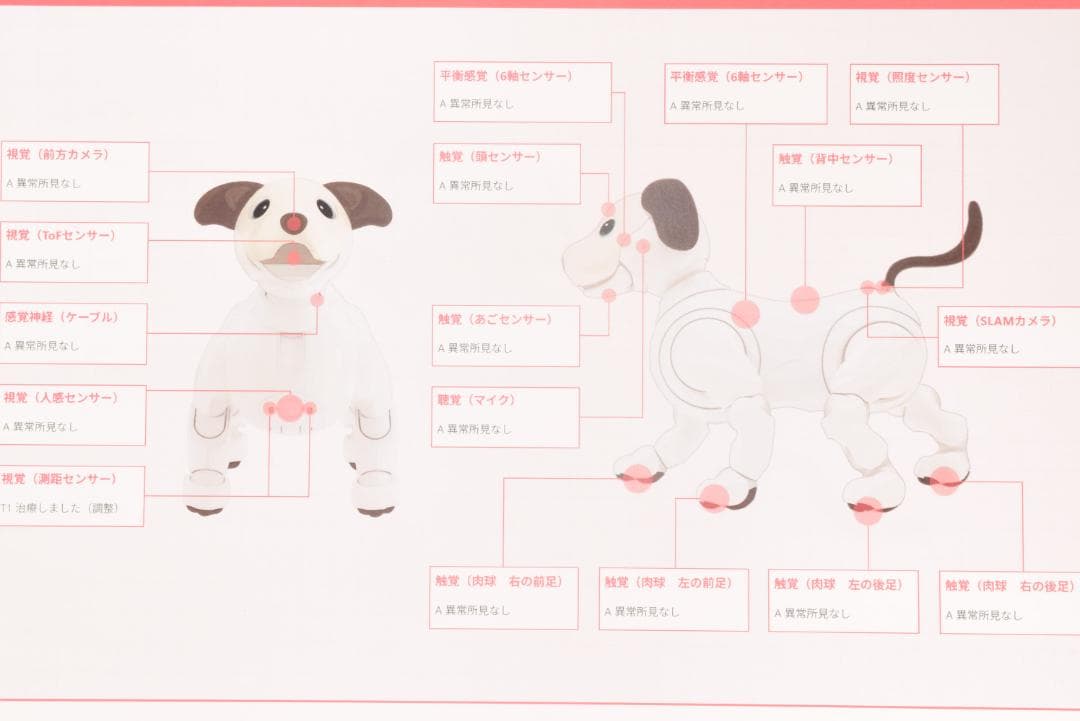 ドック診断 A判定 限定首輪3色 ソニー SONY アイボ ERS-1000