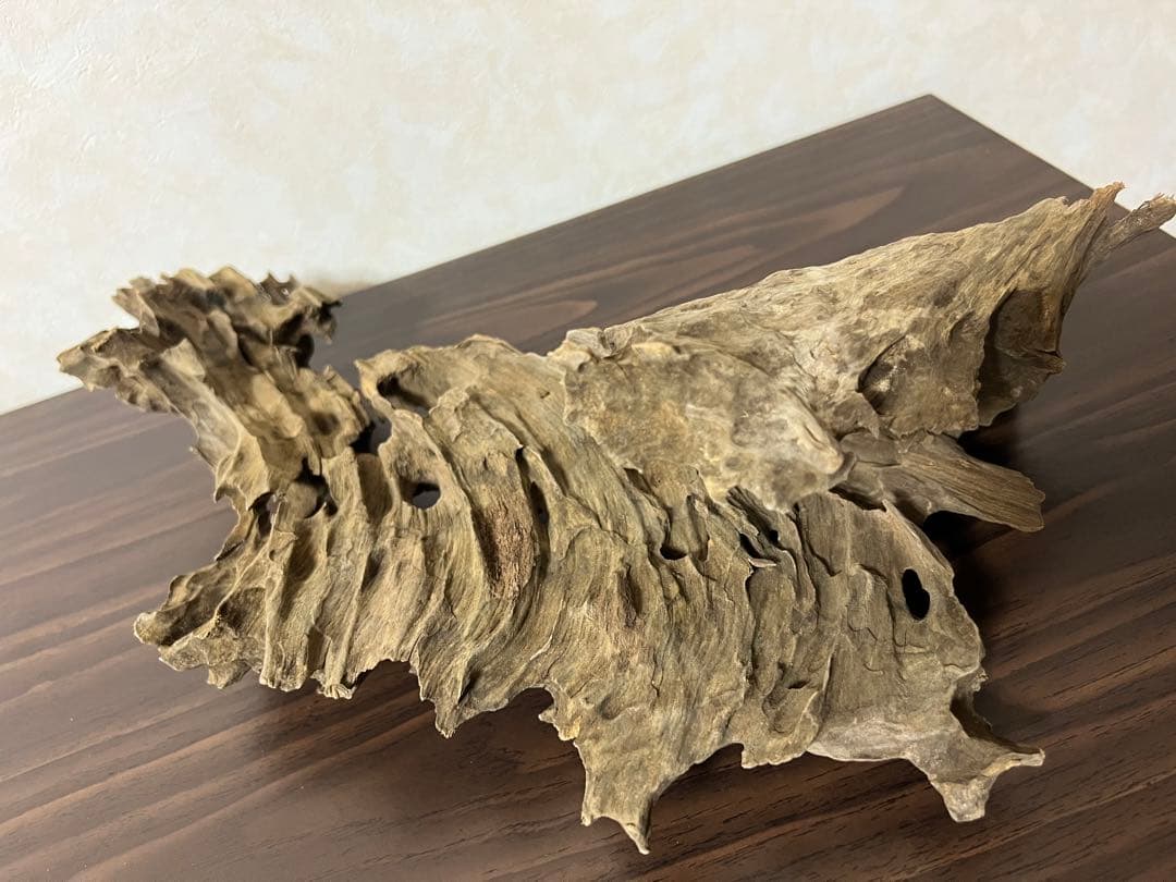 (XM-122)流木　マシンガンウッド　アクアリウム　ブランチウッド　沈水確認済