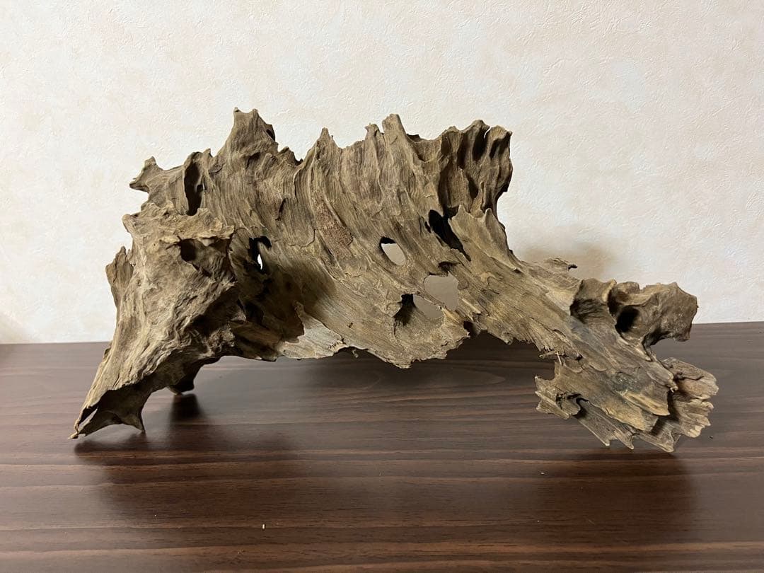 (XM-122)流木　マシンガンウッド　アクアリウム　ブランチウッド　沈水確認済