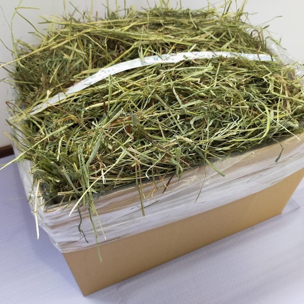 US産 チモシー 100kg ２番刈 ソフトスーパープレミアム