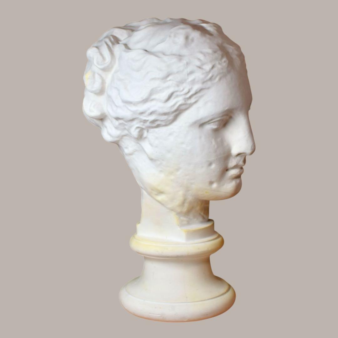 石膏像　古代ヴィーナス　アバタのヴィーナス　首像　デッサン