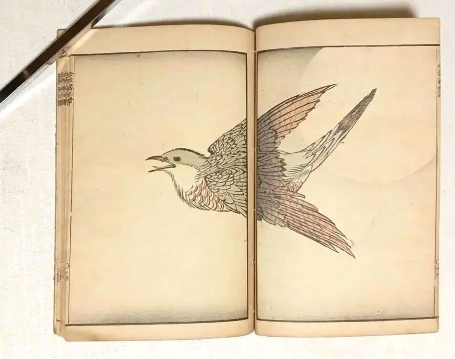 金波園画譜No.2（色刷り木版画本) 河村文鳳画、文化8年出版