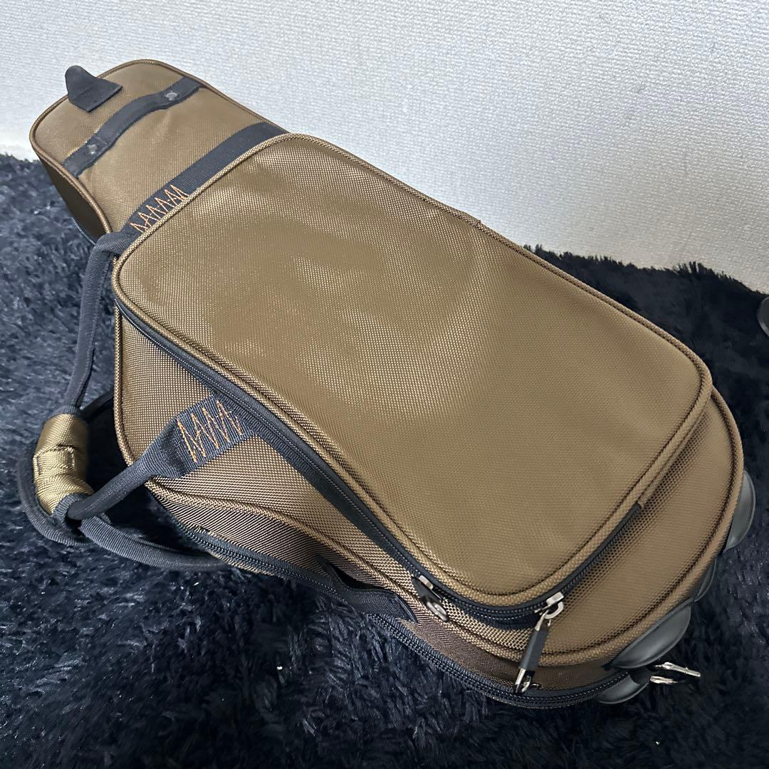 極美品 PRO-PAC アルトサックス ハードケース 管楽器 大容量