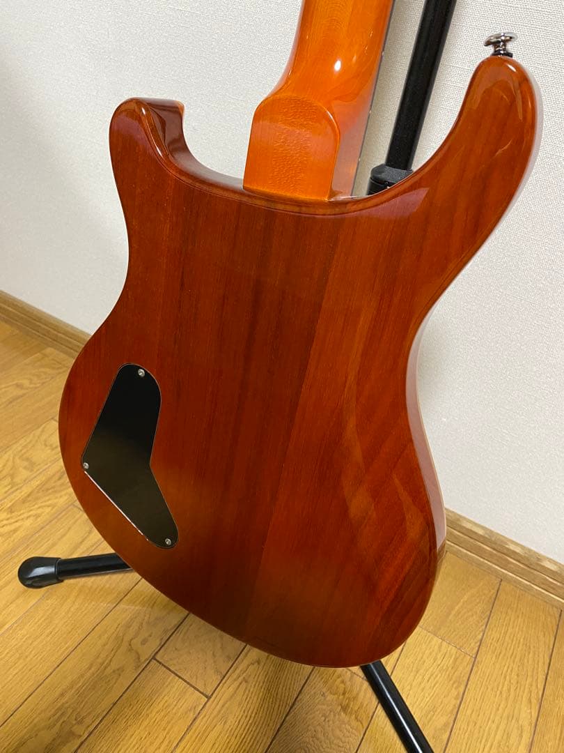 PRS SE Custom 22 セミホロウボディギター